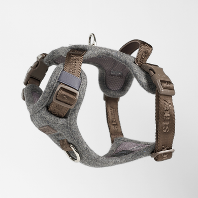 Elma Hundesele | Stone