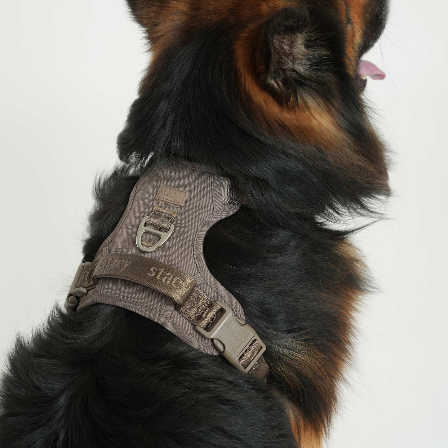 Elma Active Hundesele | Taupe