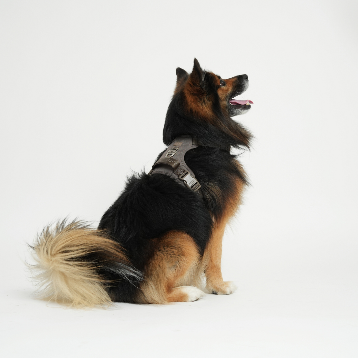 Elma Active Hundesele | Taupe