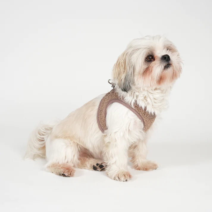 Teddy Step-in Hundesele | Mocca