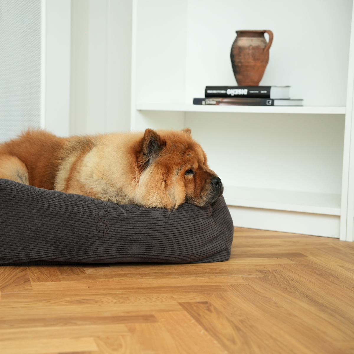 Chow chow lying in the charcoal corduroy dog bed on a parquet floor