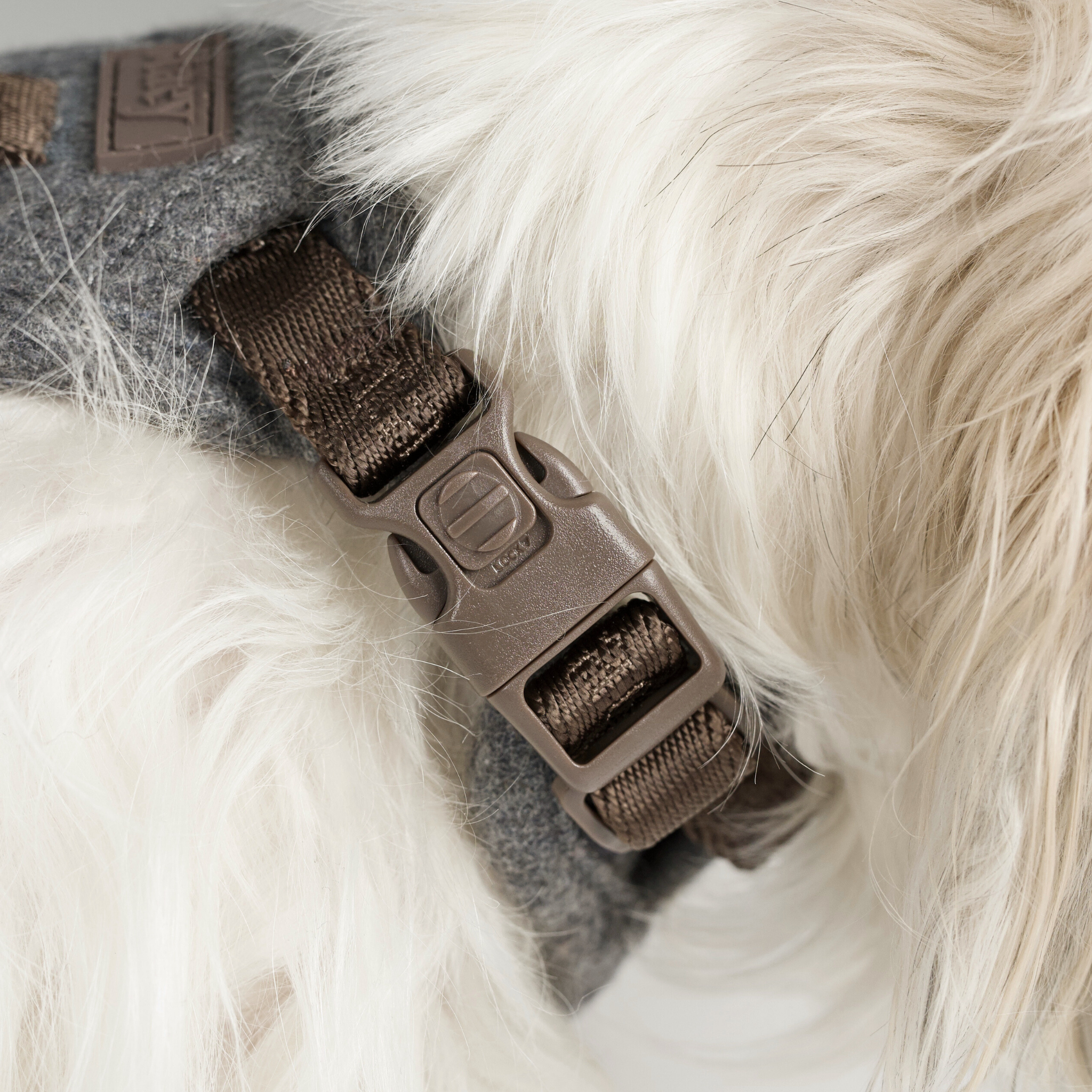 Elma Hundesele | Stone
