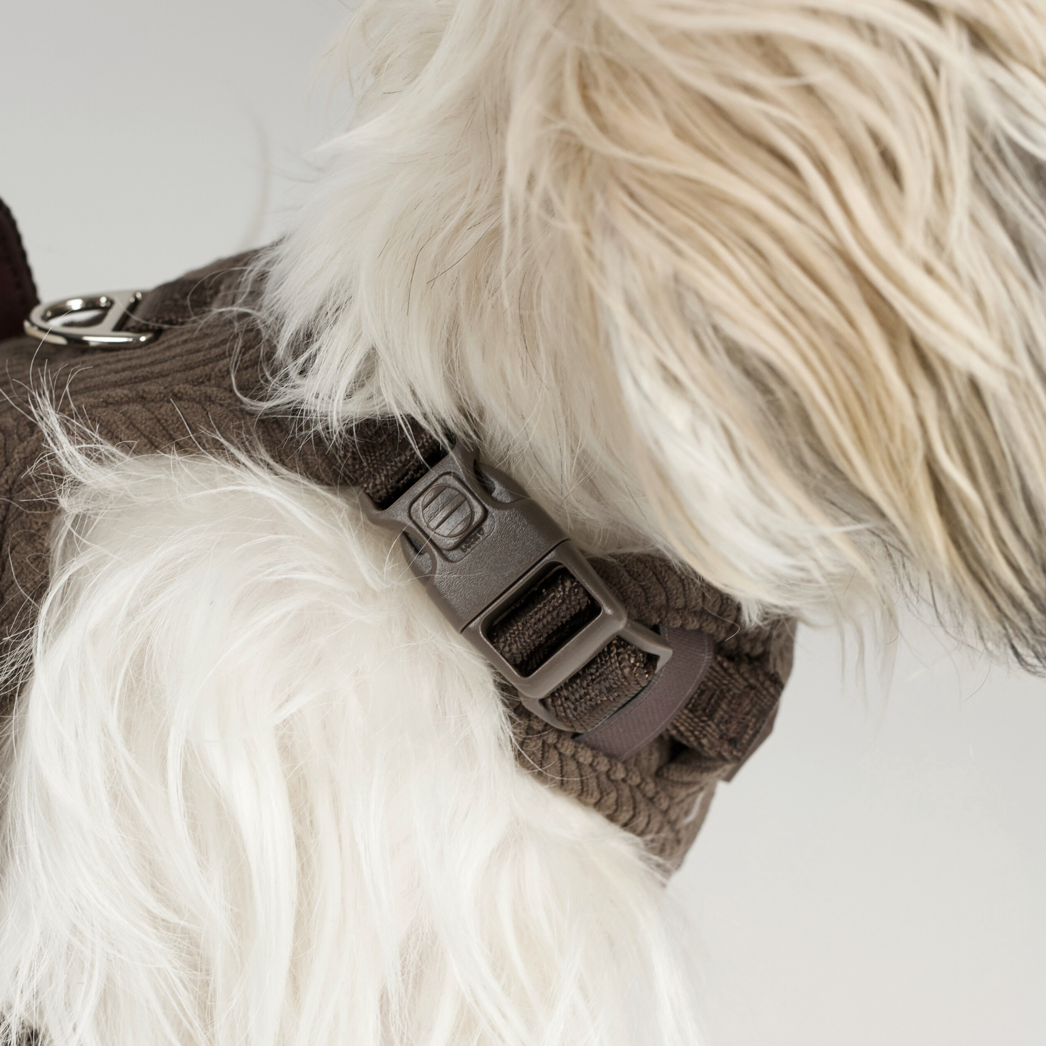 Elma Hundesele | Dark Oak