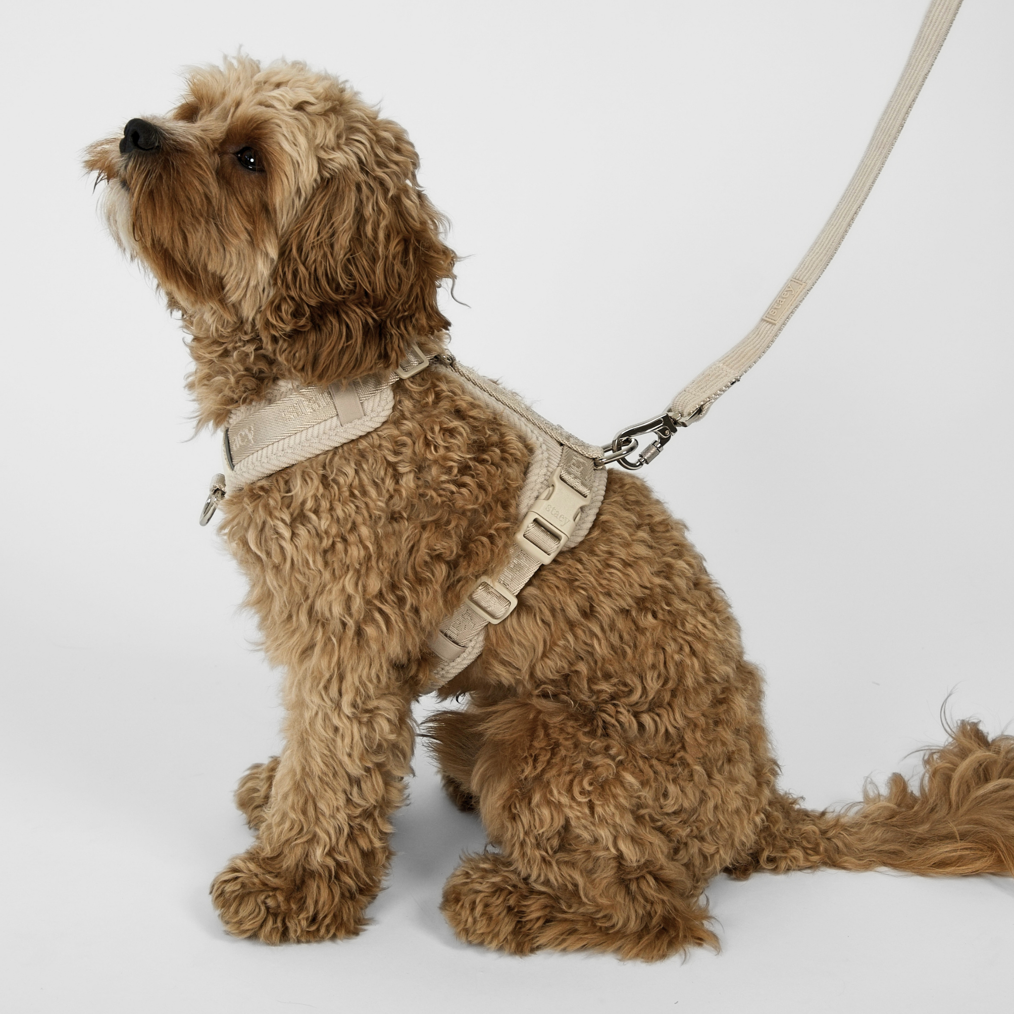 Elma Dog Leash | Oat