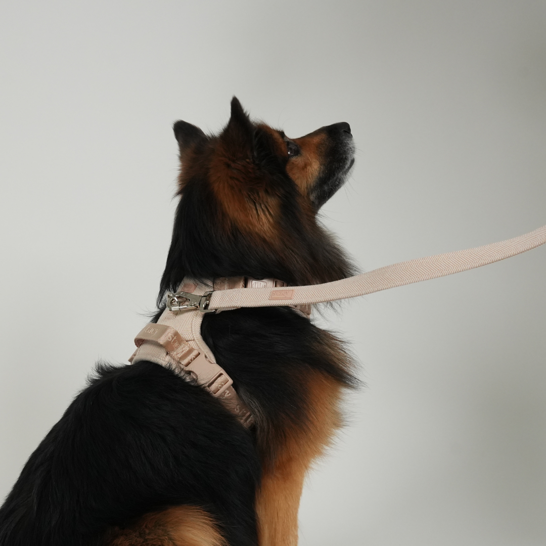 Elma hundesnor | Light Rose