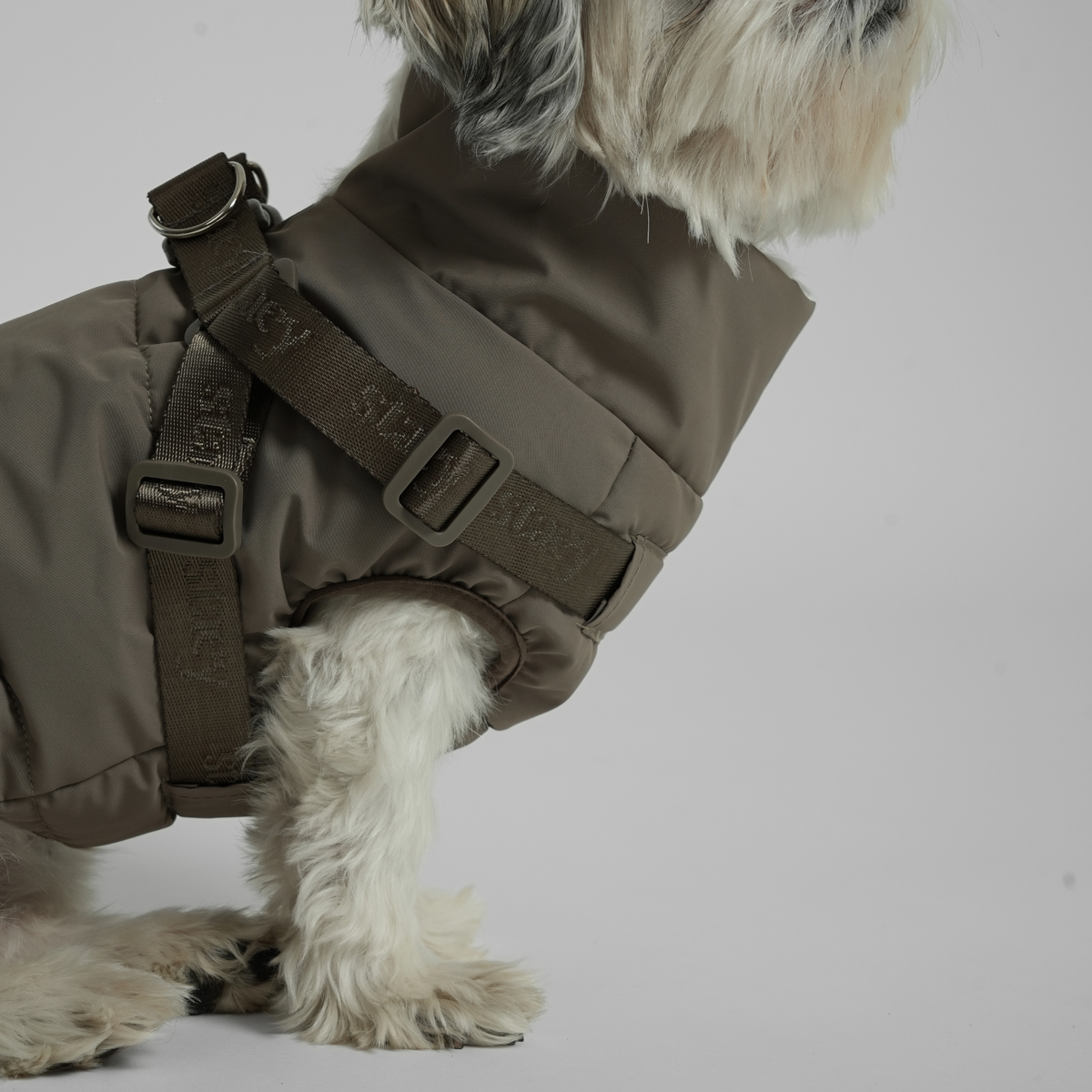 Close-up of the moss green quilted coat and harness on a white dog