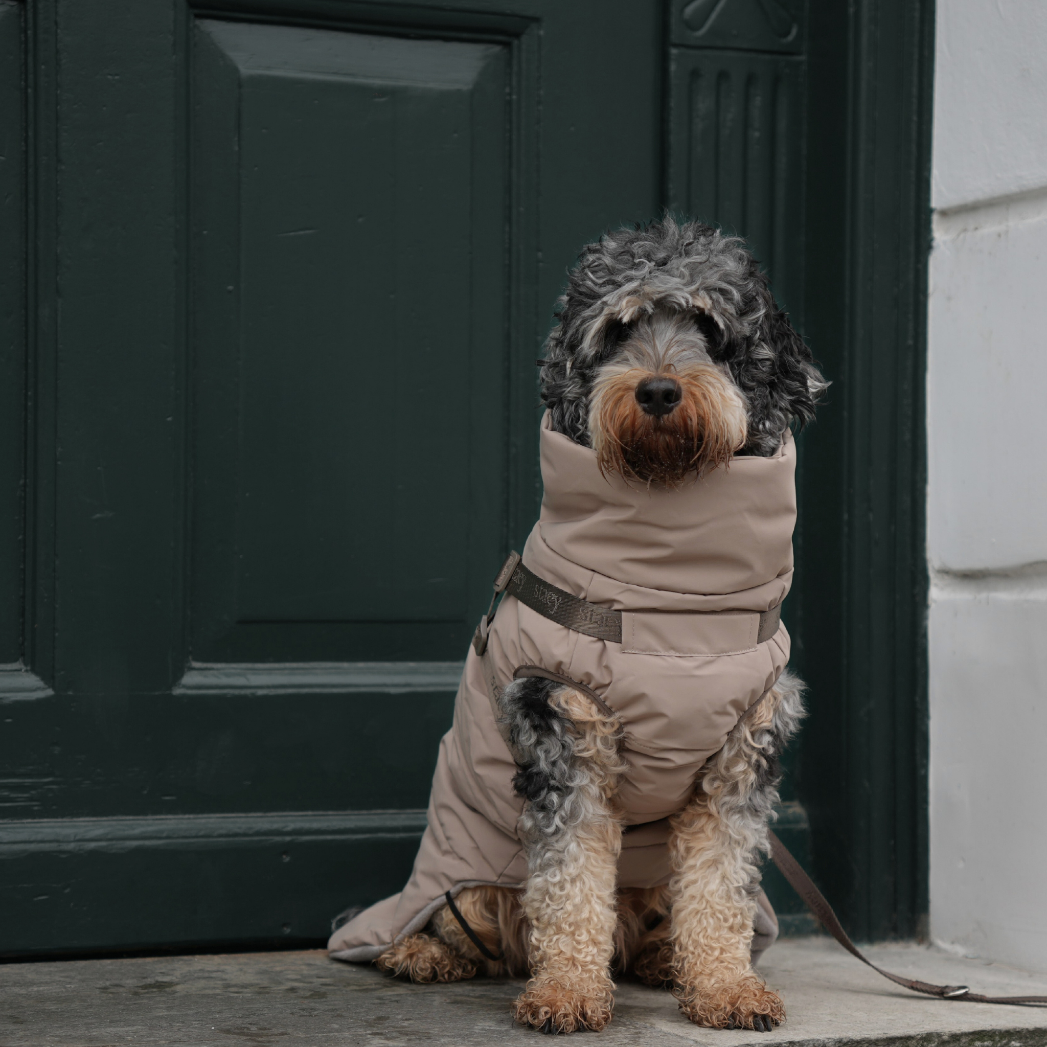 Vera Dog Coat w. Harness | Sand