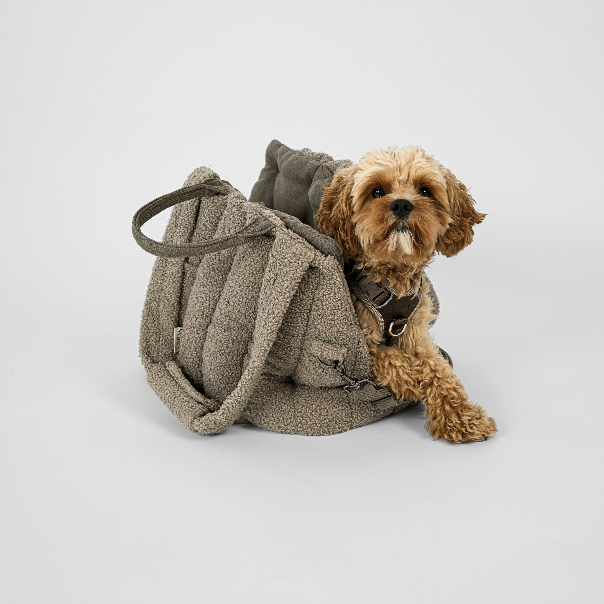 Ella Carrier Bag | Teddy