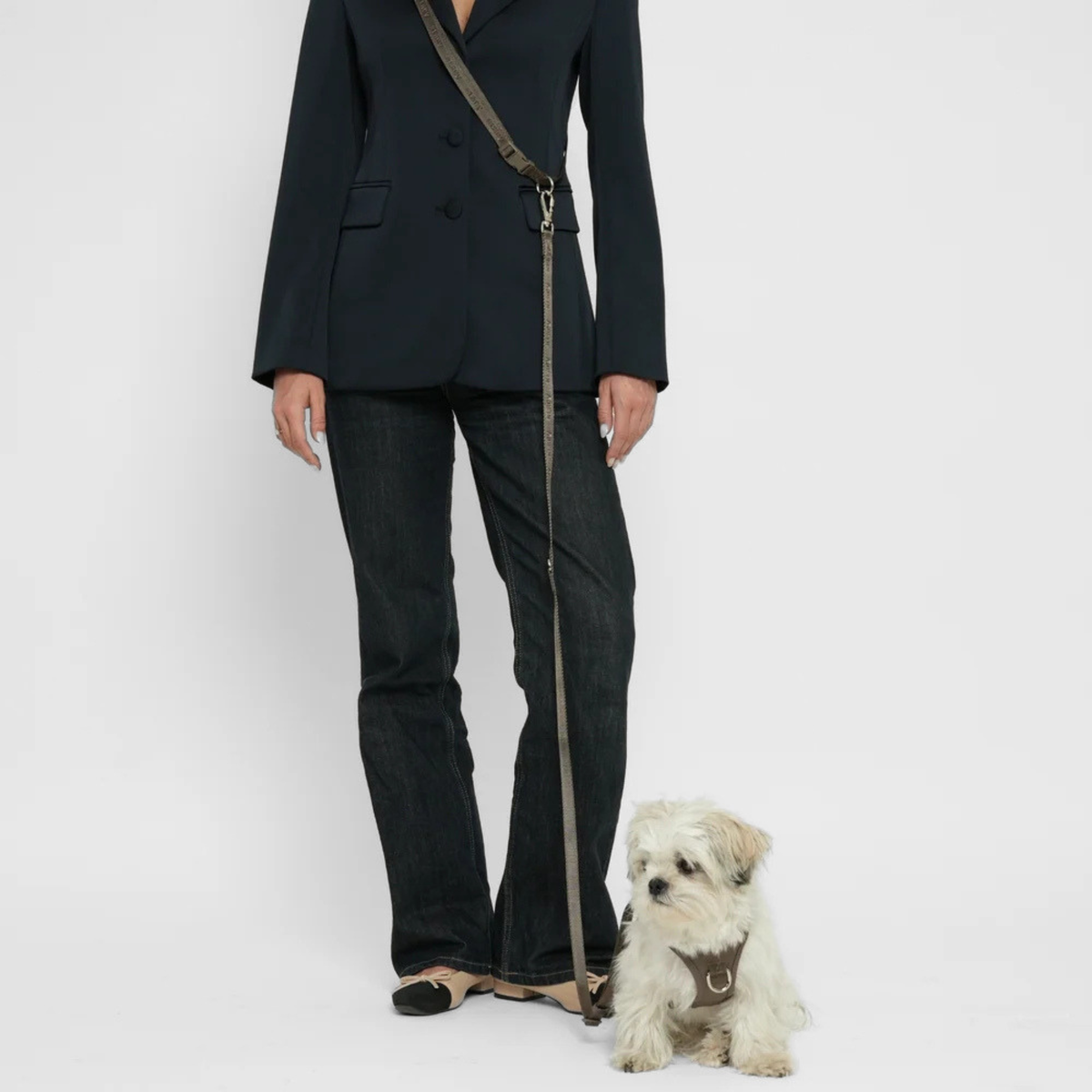 Hands-Free Dog Leash | Taupe