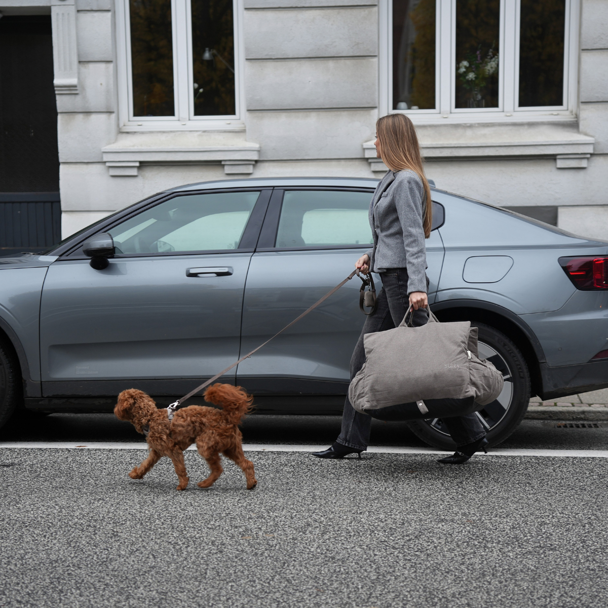 Woman walking an apricot poodle beside a car, carrying a Staey bag