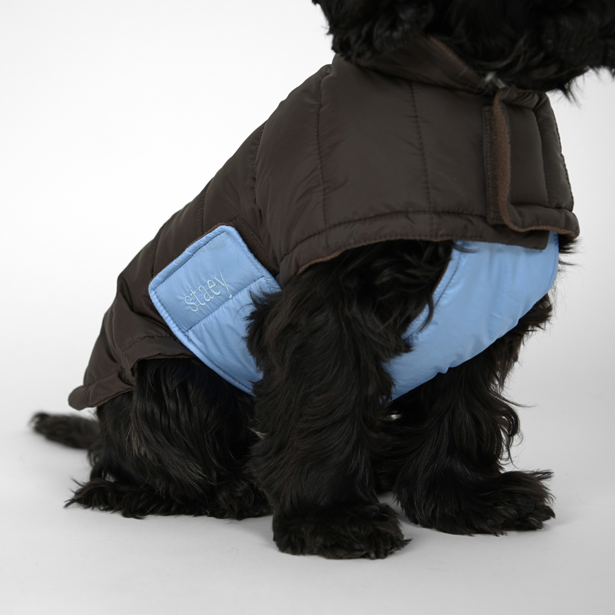 Nora Dog Coat | Espresso/Sky Blue