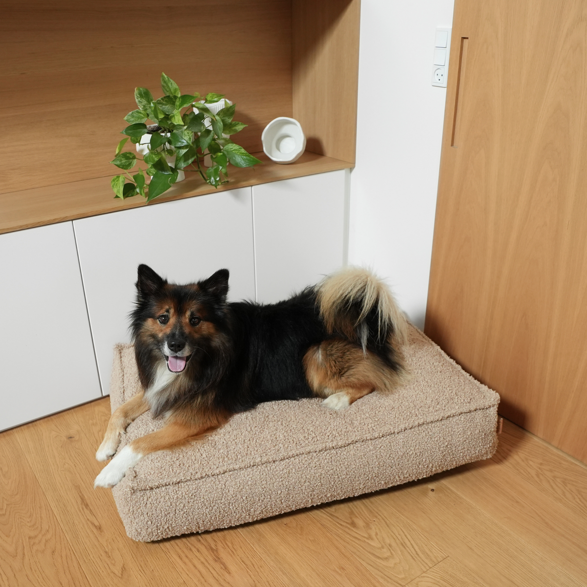 Shepherd dog lying on a sand curly bouclé dog mattress in a corner