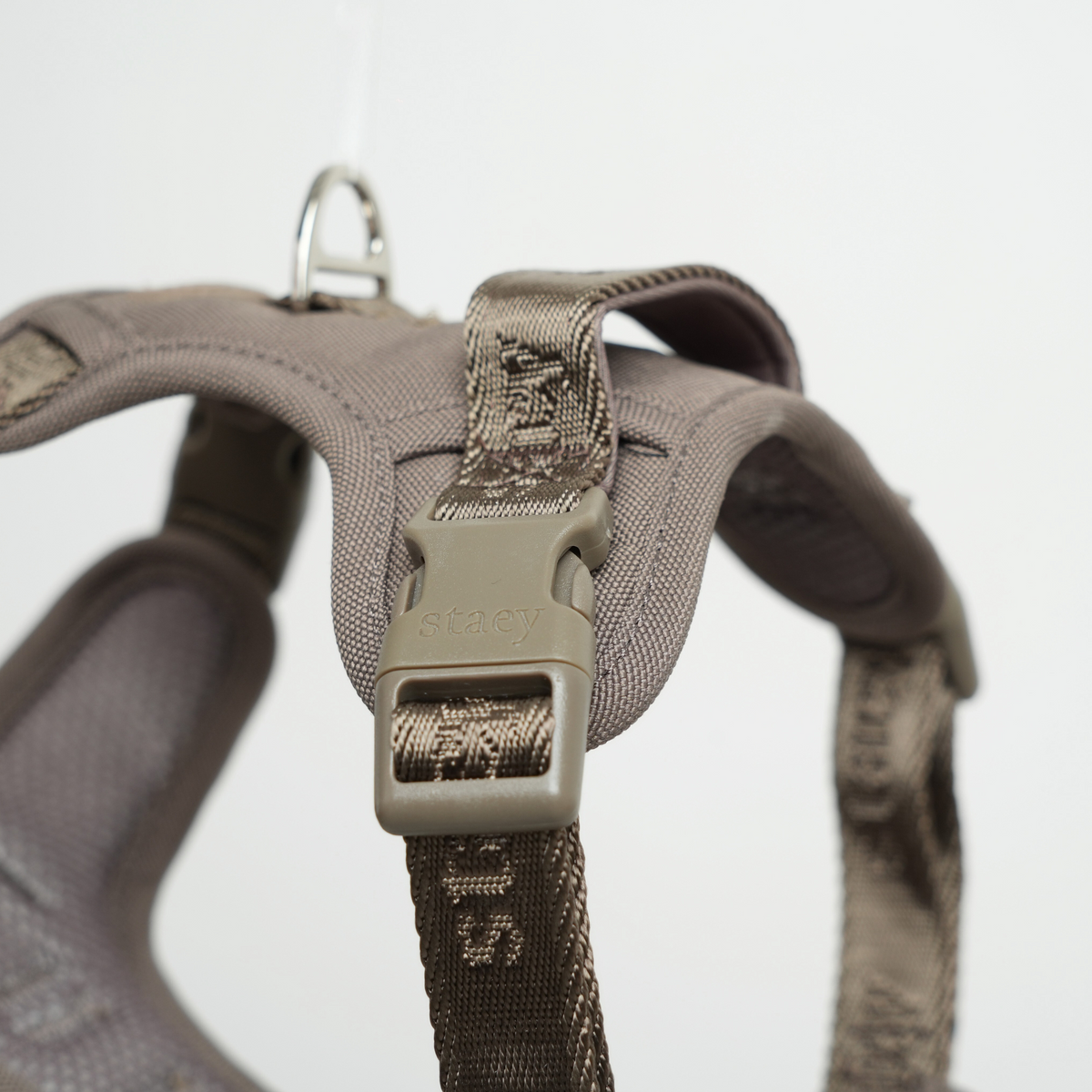 The taupe Elma harness seen from above with its buckle