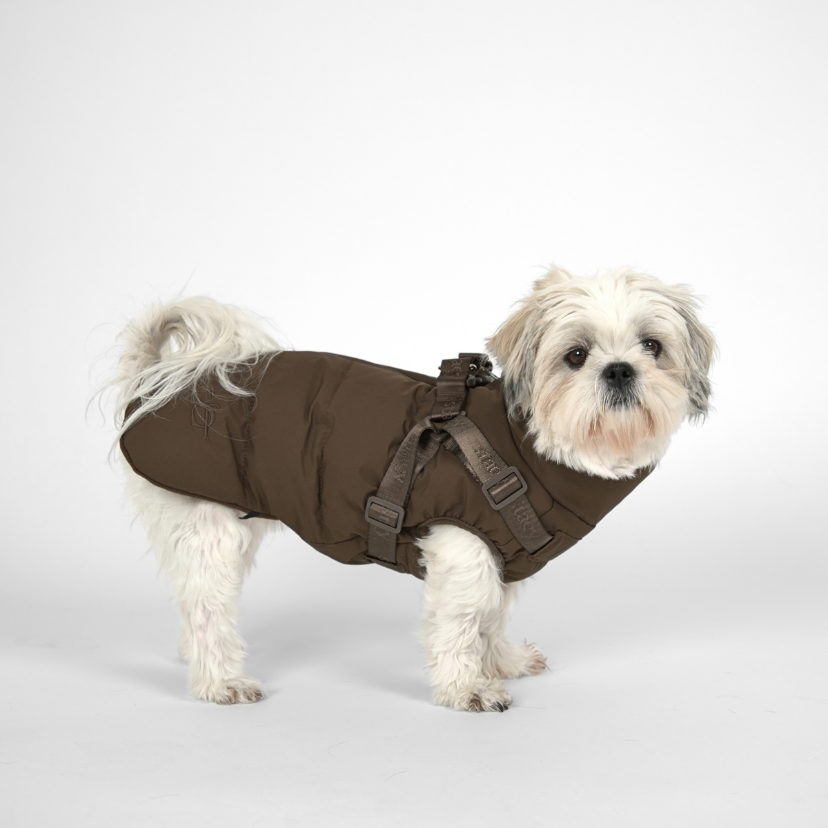 Vera Hundefrakke m. Sele | Chestnut
