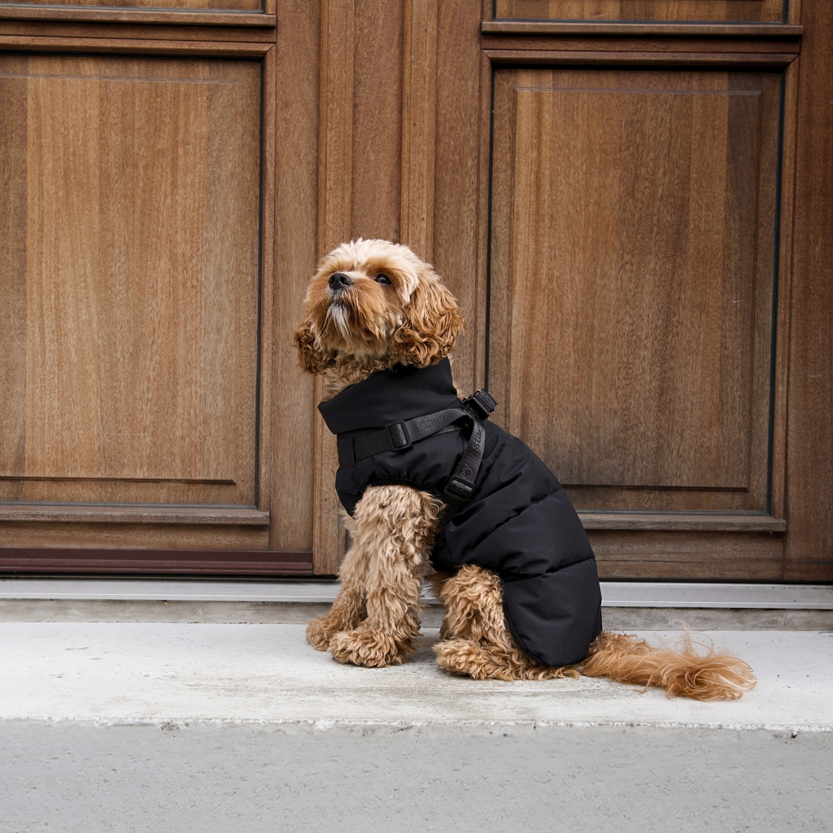 Vera Dog Coat w. Harness | Charcoal