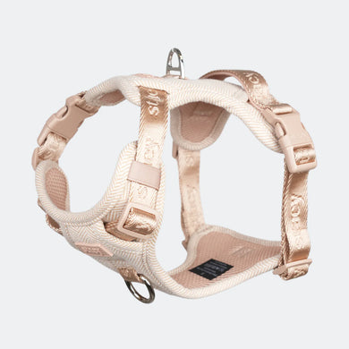 Elma Hundesele | Light Rose