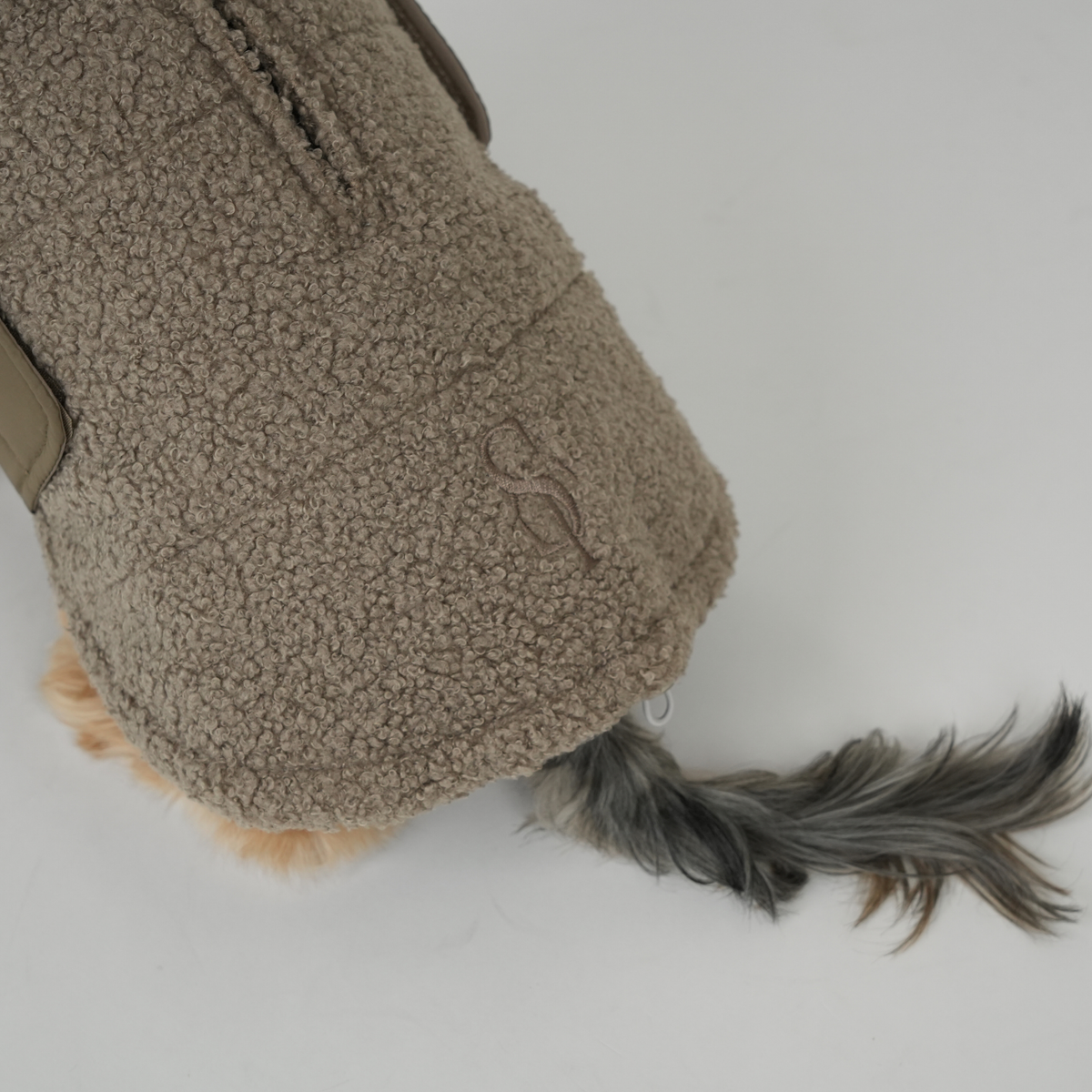 Yorkshire terrier seen from behind in the taupe teddy dog coat