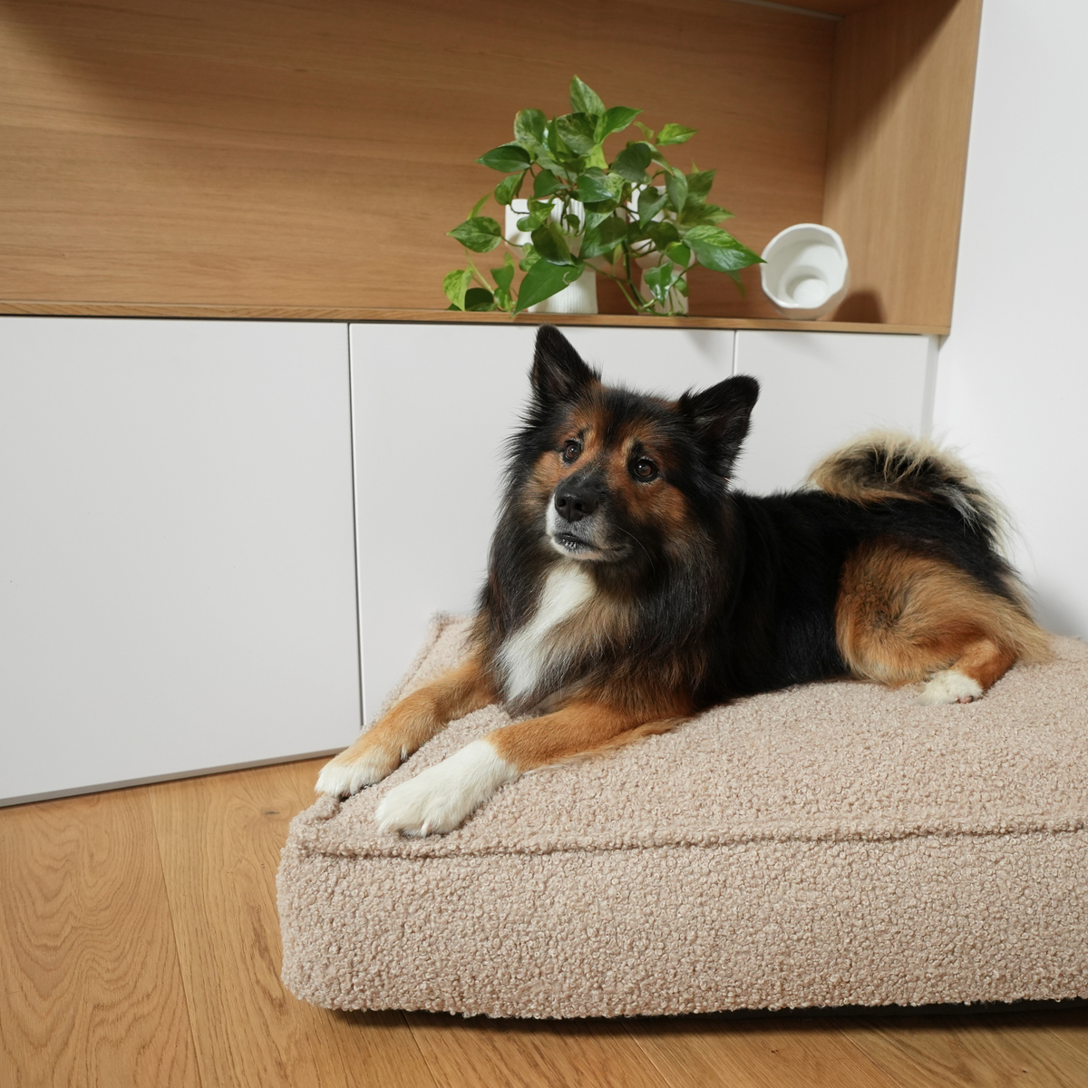 Shepherd dog lying on the sand curly bouclé dog mattress