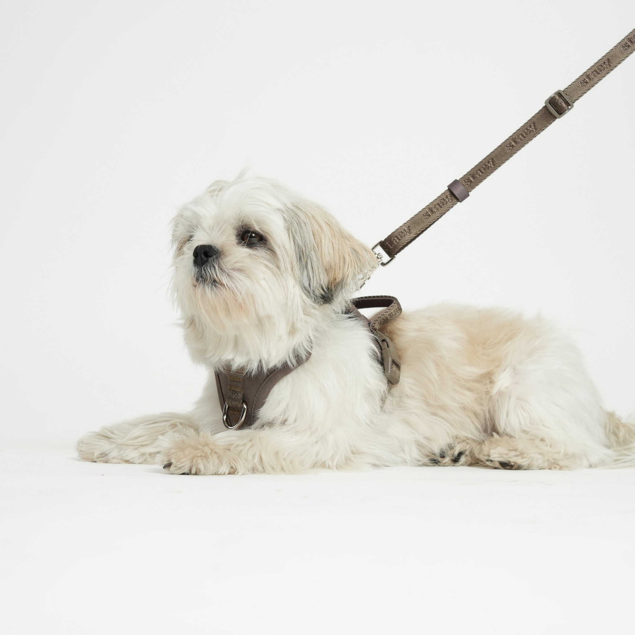 Håndfri hundesnor – Taupe