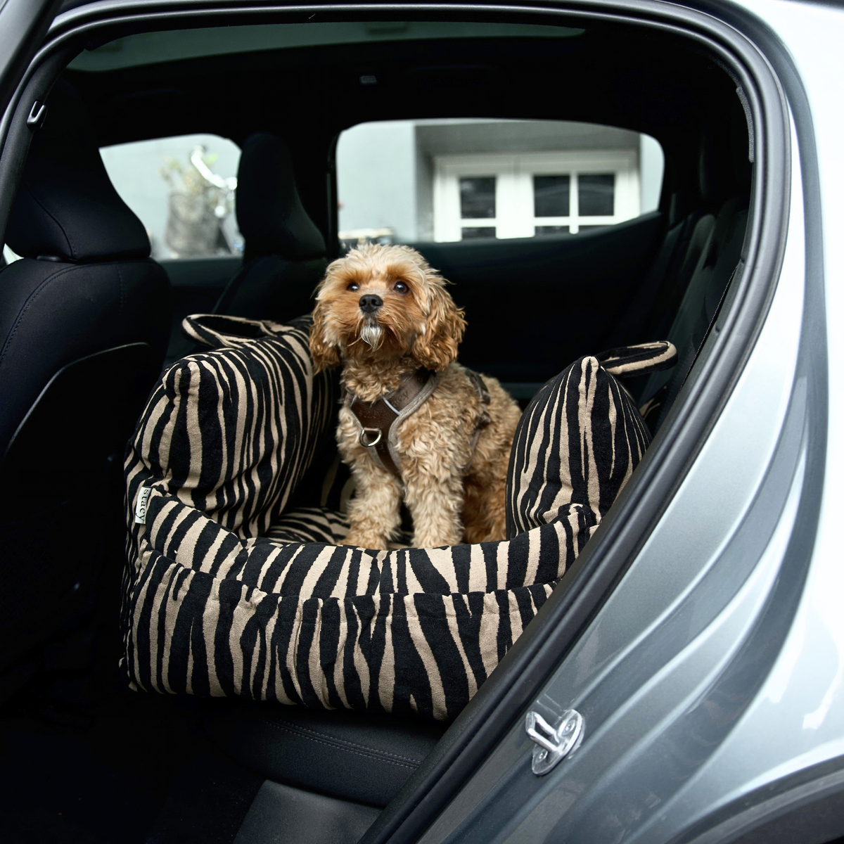 Lara-bilsæde til Hund | Zebra 2.0