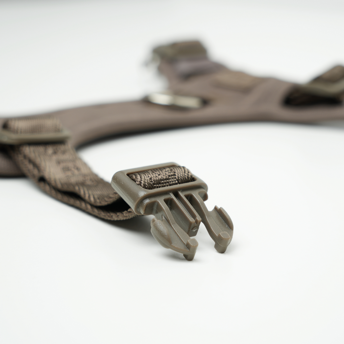 Close-up of the buckle and Staey webbing on the taupe Elma harness