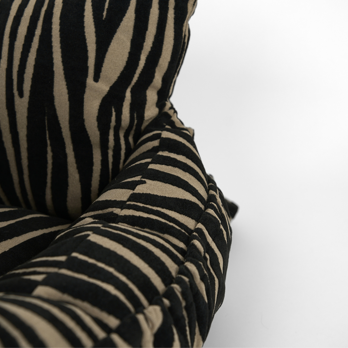 Lara Car Seat | Zebra 2.0