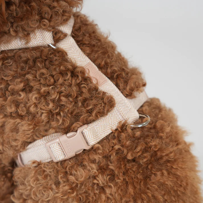 Tara H-Strap Hundesele | Light Rose