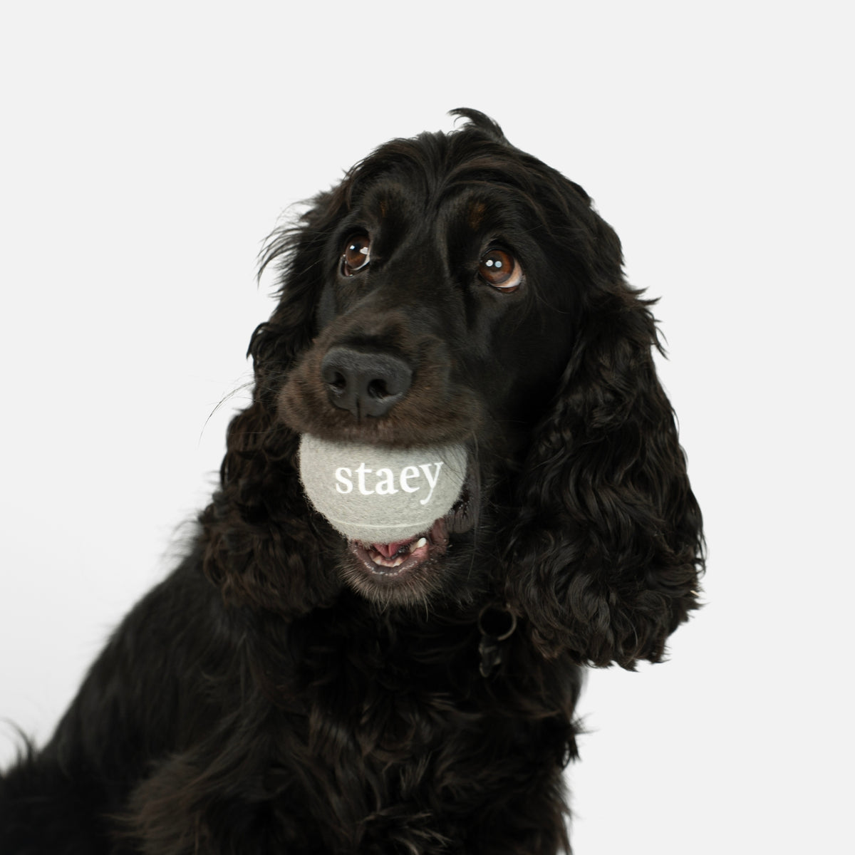 Squeaker ball | 2-pack