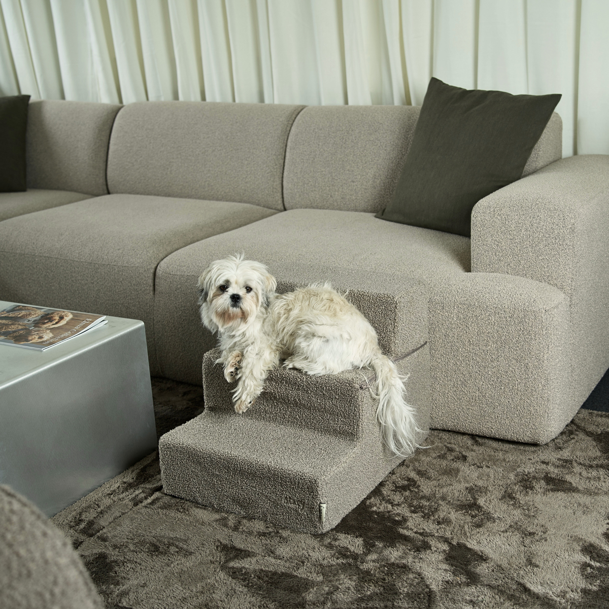 Hundetrappe | Teddy