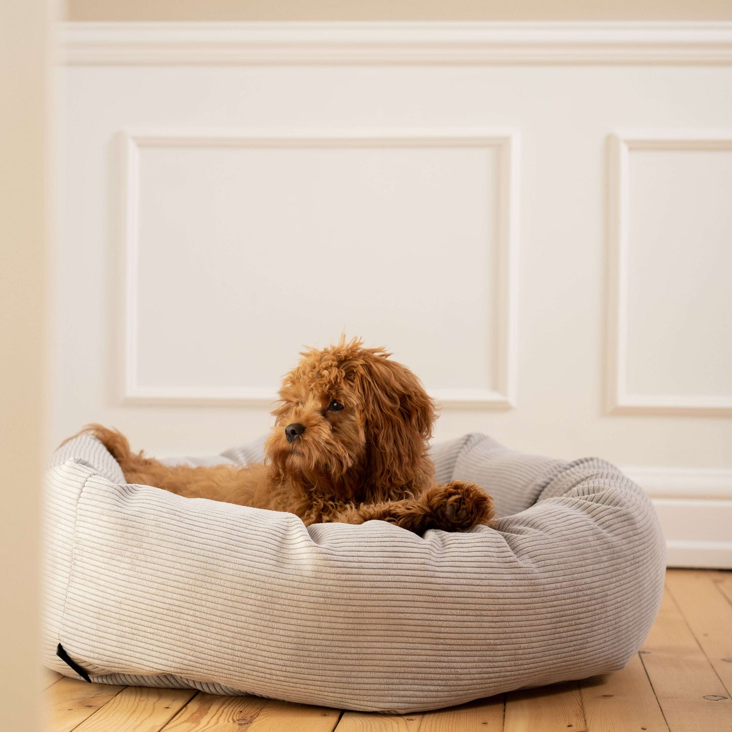 Staey, Hundeseng Luna | Grå