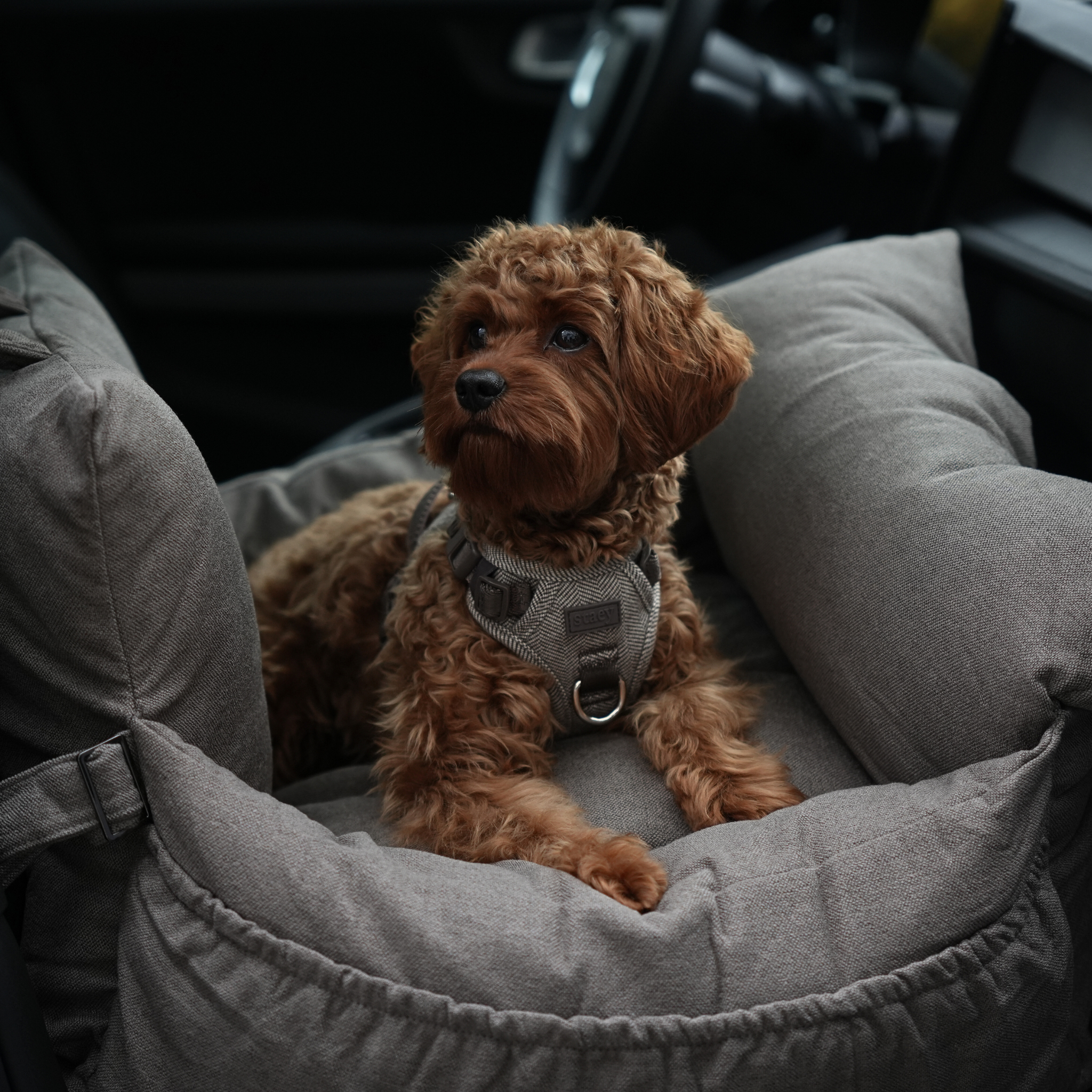 Transport