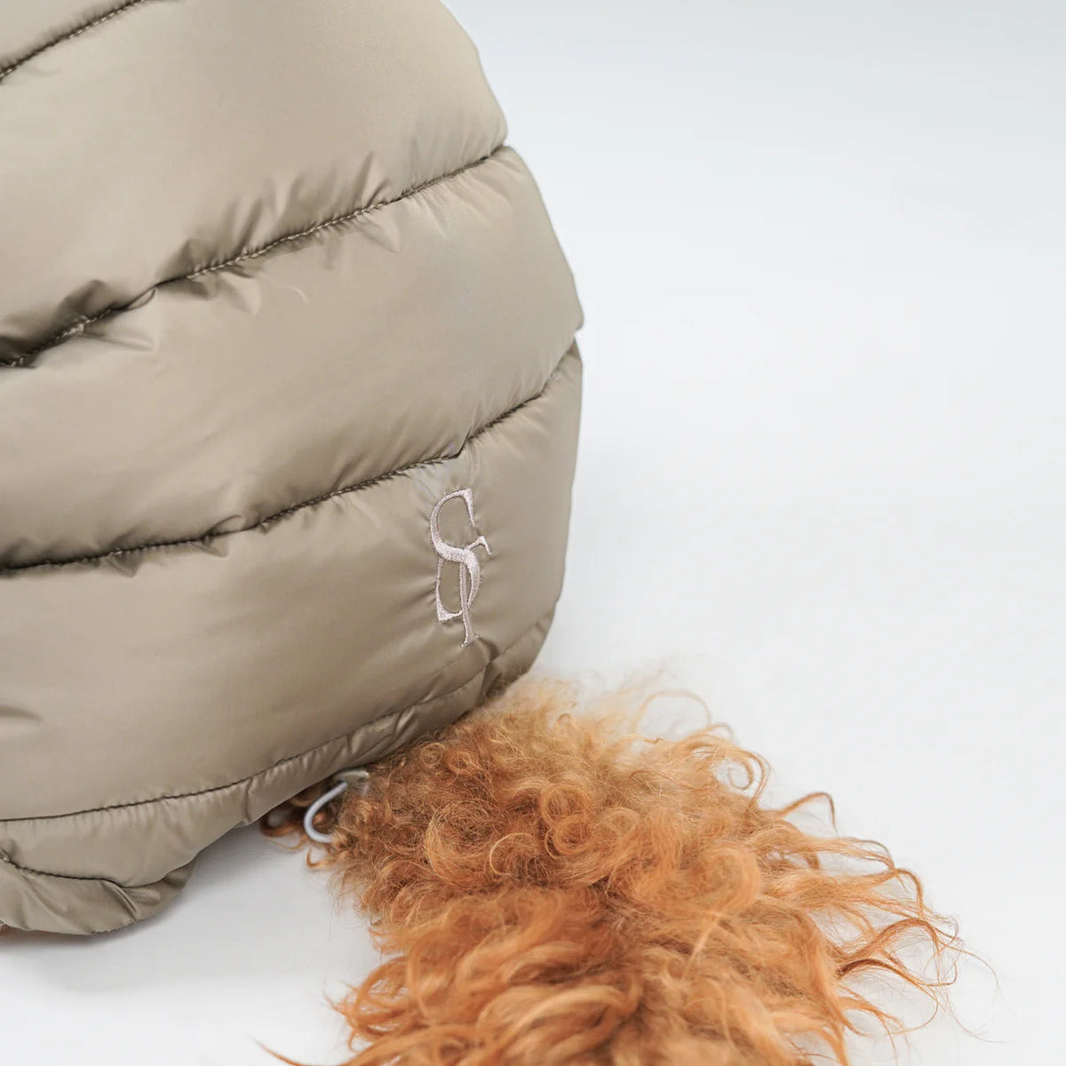Close-up of the nature beige quilted coat on an apricot poodle