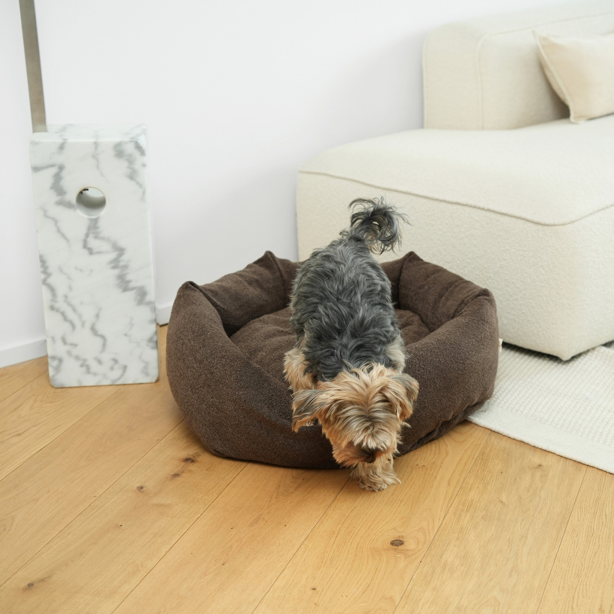 En Yorkshire terrier, der lægger sig i den Chestnut Bouclé-hundeseng