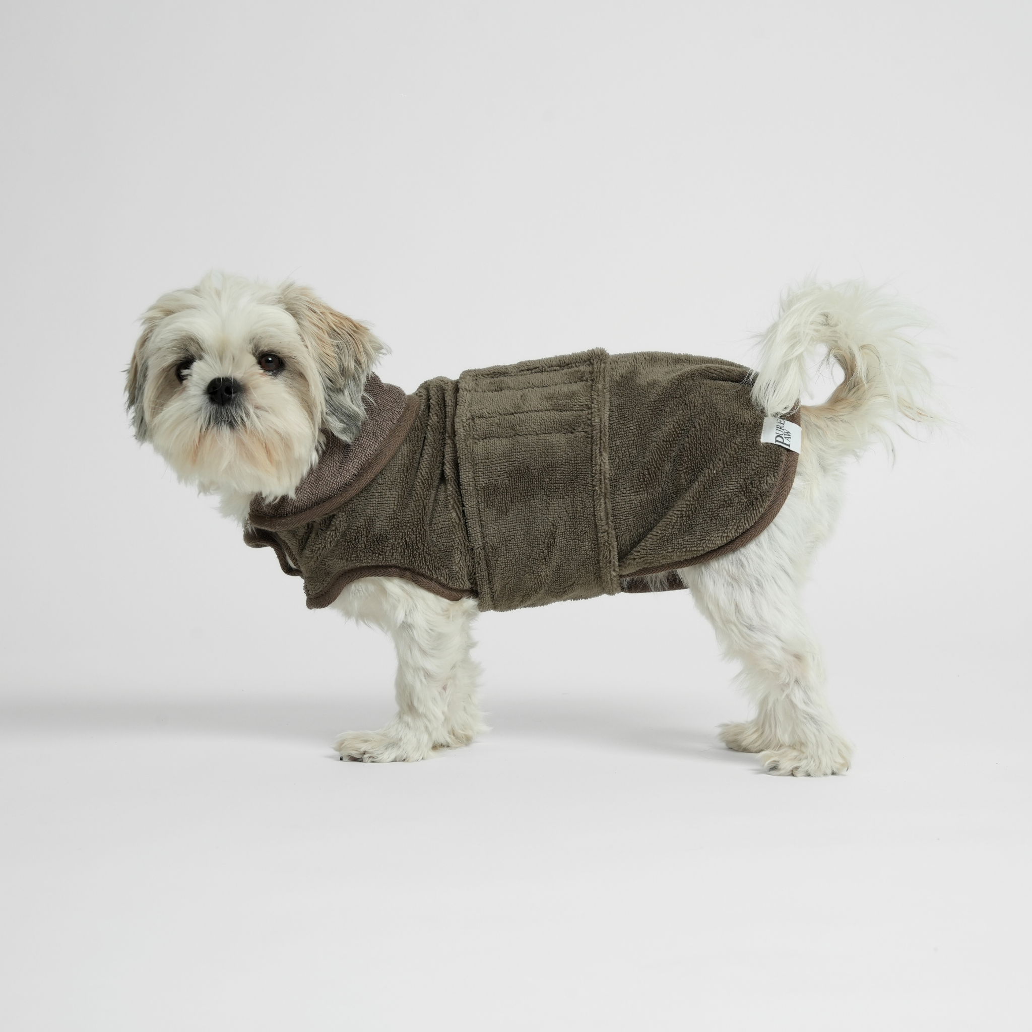 Small dog wearing a bamboo robe on a white background