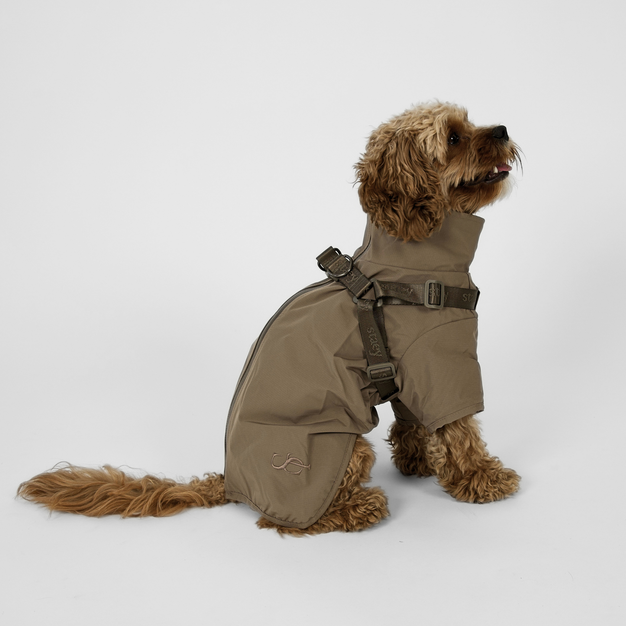 Leva Dog Rain Coat w. Harness | Taupe