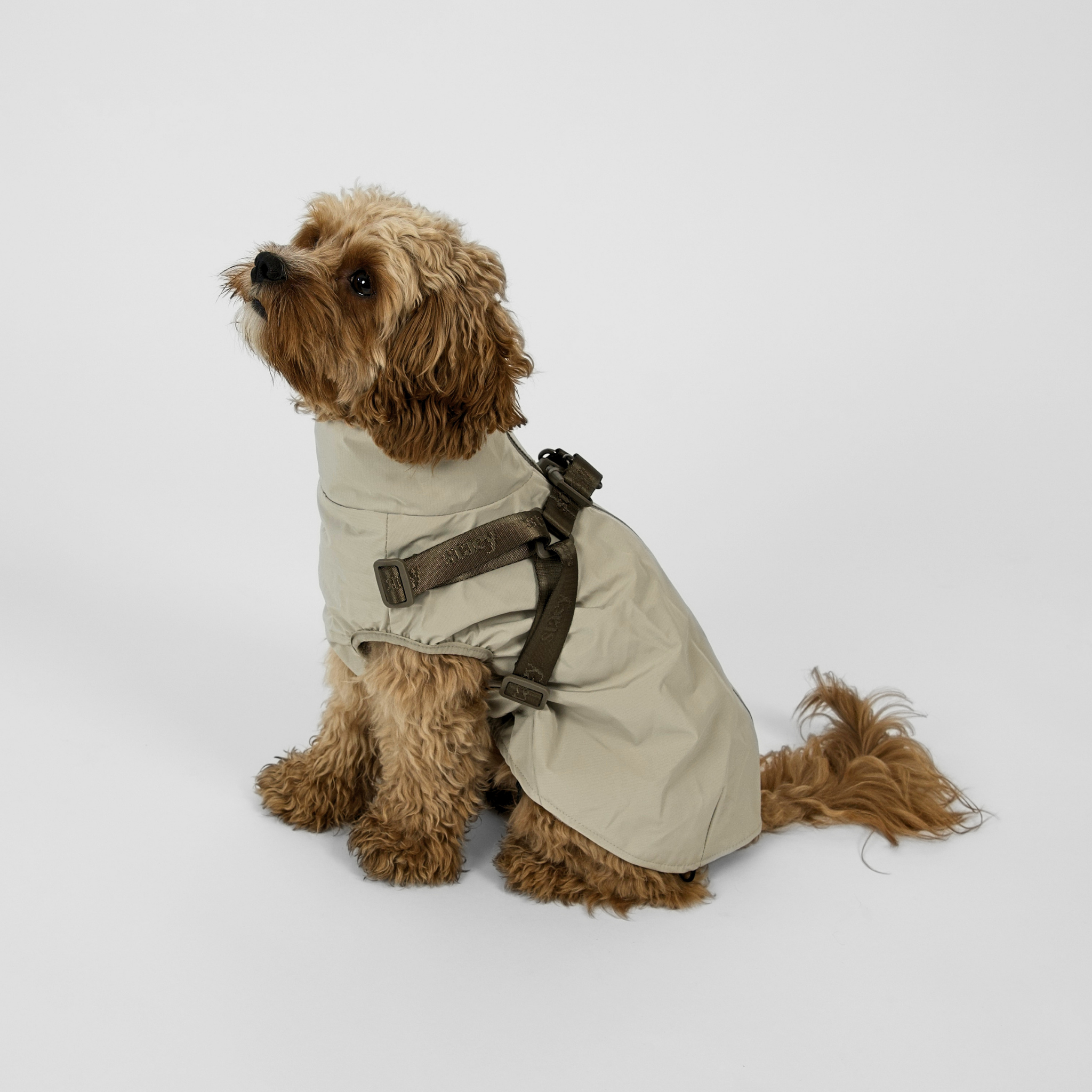 Norma Dog Rain Coat w. Harness | Nature