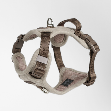 Elma Hundesele | Sand 