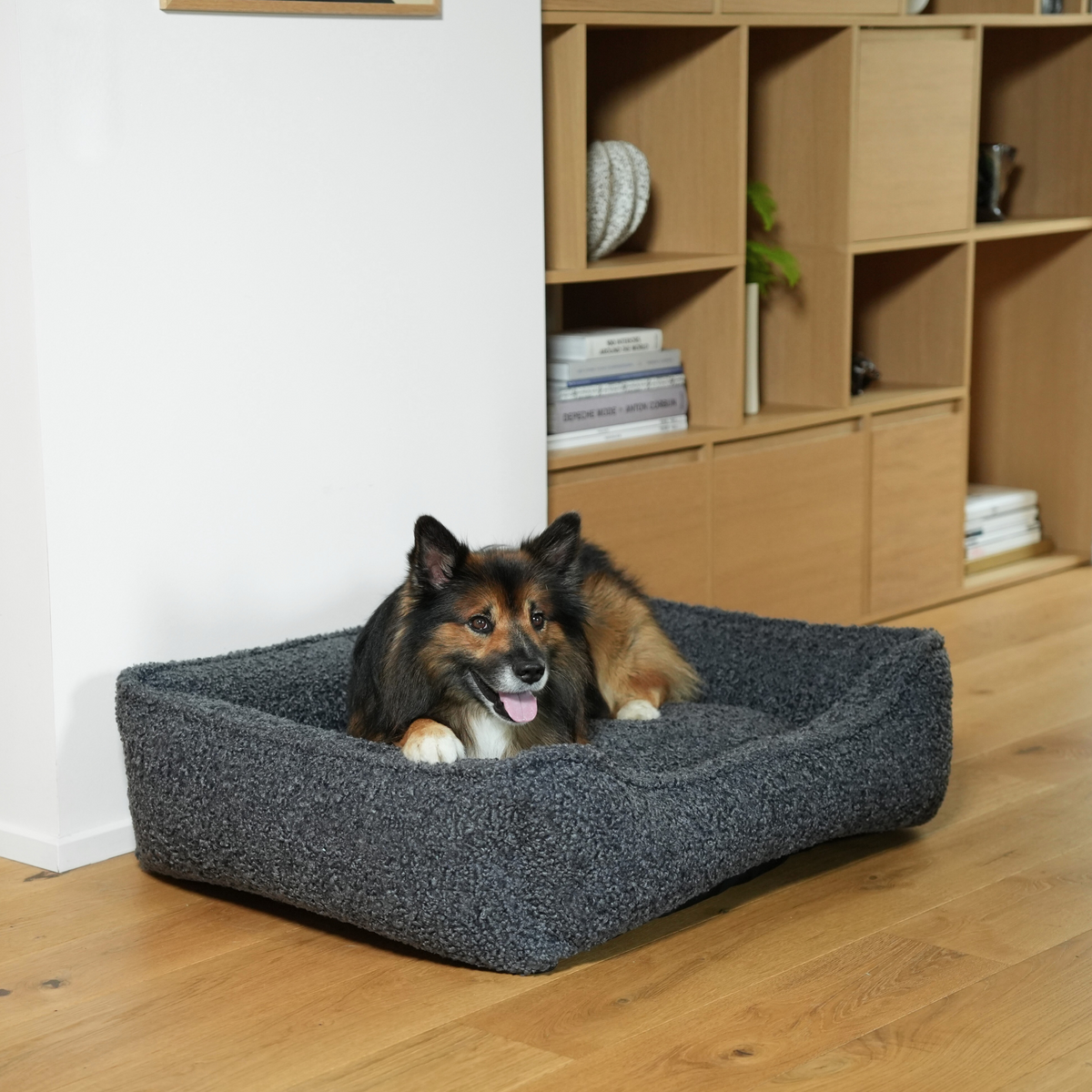 Shepherd dog lying in the storm curly bouclé dog bed on a parquet floor