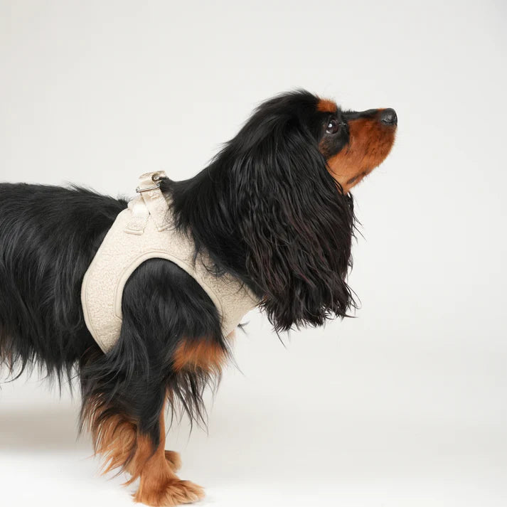 Teddy Step-in Hundesele | Nature