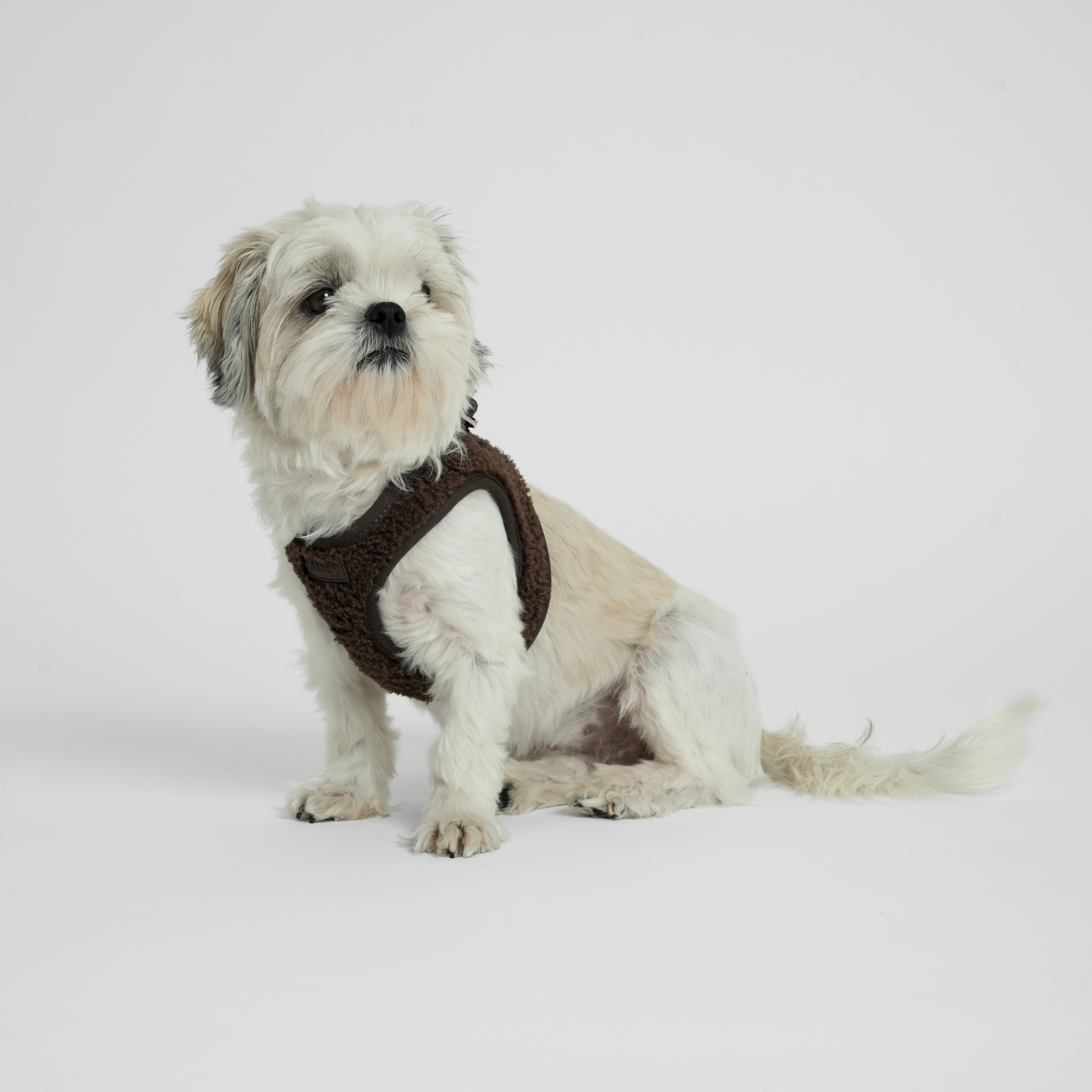 Step-In Hundesele Teddy | Espresso