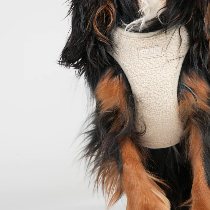 Teddy Step-in Hundesele | Nature