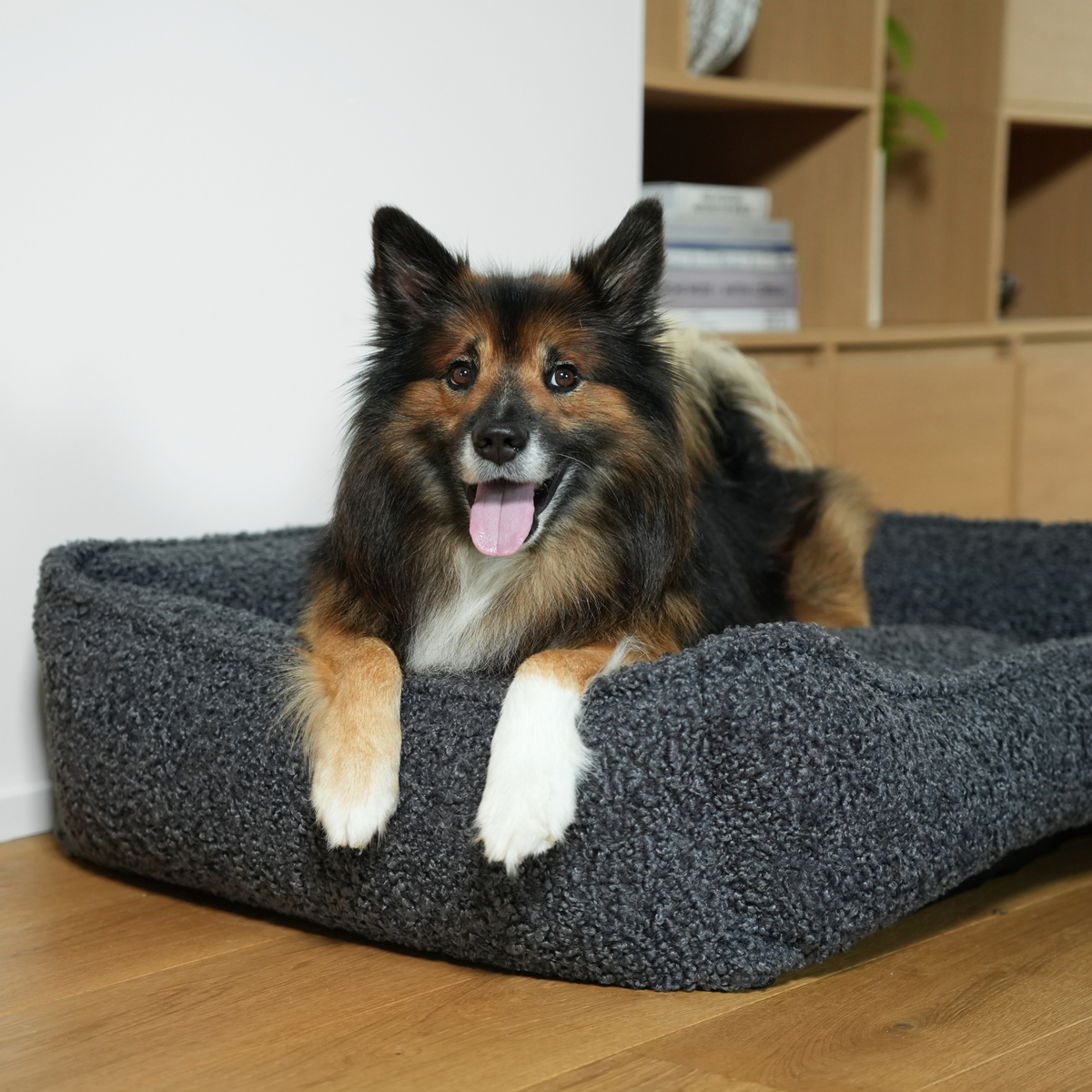 Shepherd dog lying in the storm curly bouclé dog bed