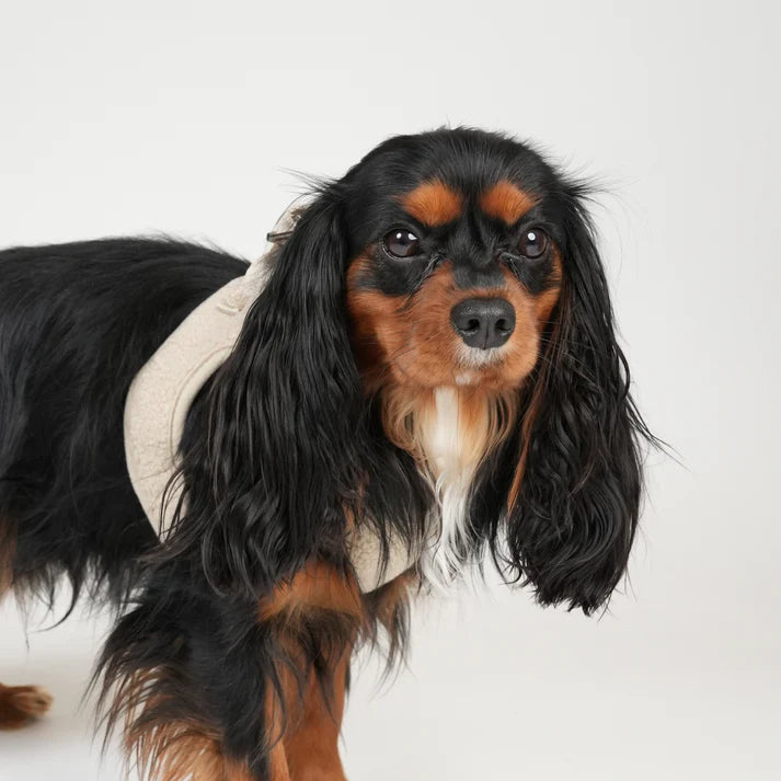 Teddy Step-in Hundesele | Nature