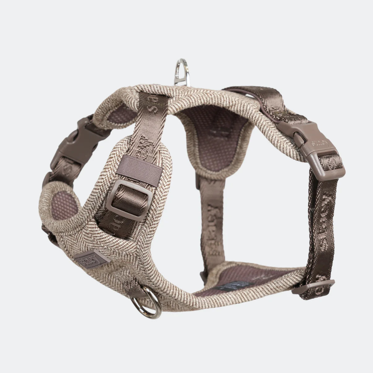 Elma Hundesele | Mocca