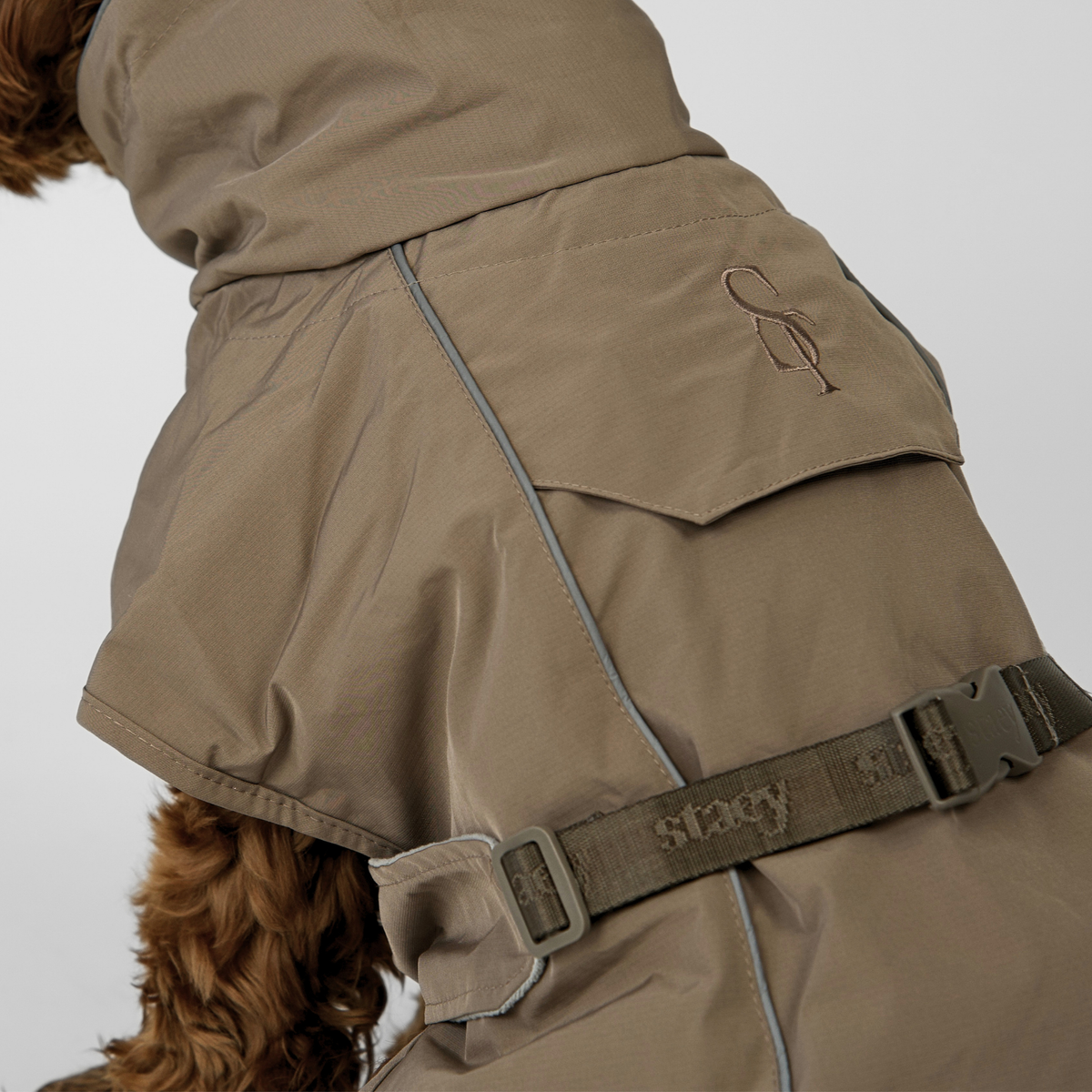 Cockapoo seen from behind in the taupe Clara rain coat with a belly strap