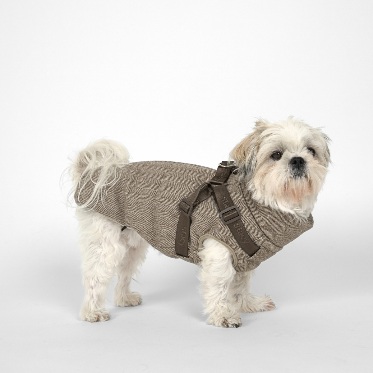 Vera Hundefrakke m. Sele | Herringbone Mocca