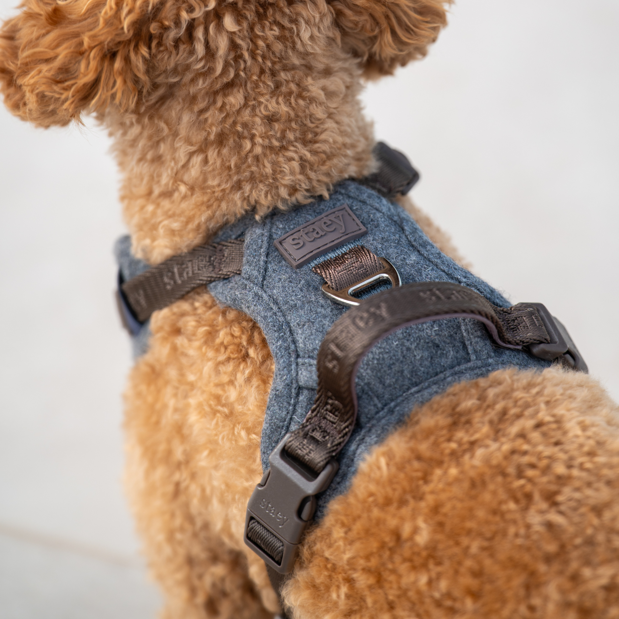 Elma Dog Harness | Stone