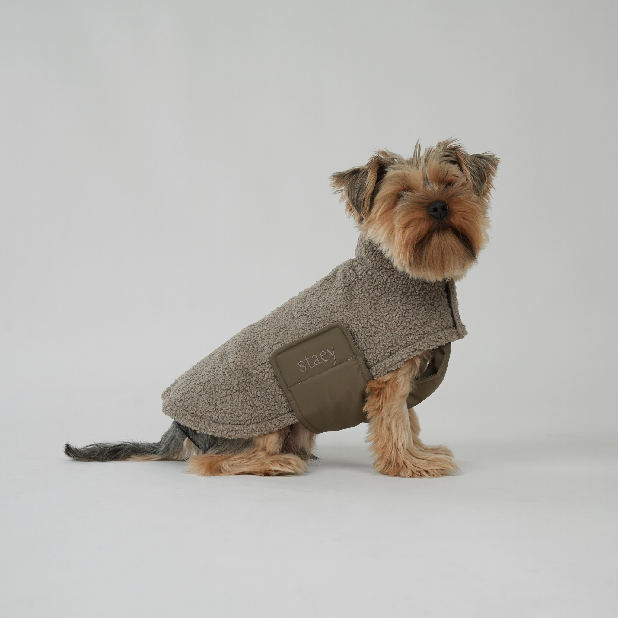 teddy dog coat