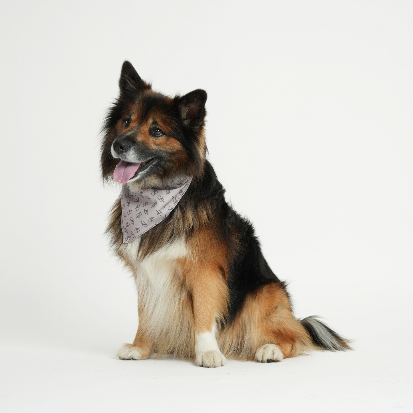 ST Bandana, Natur