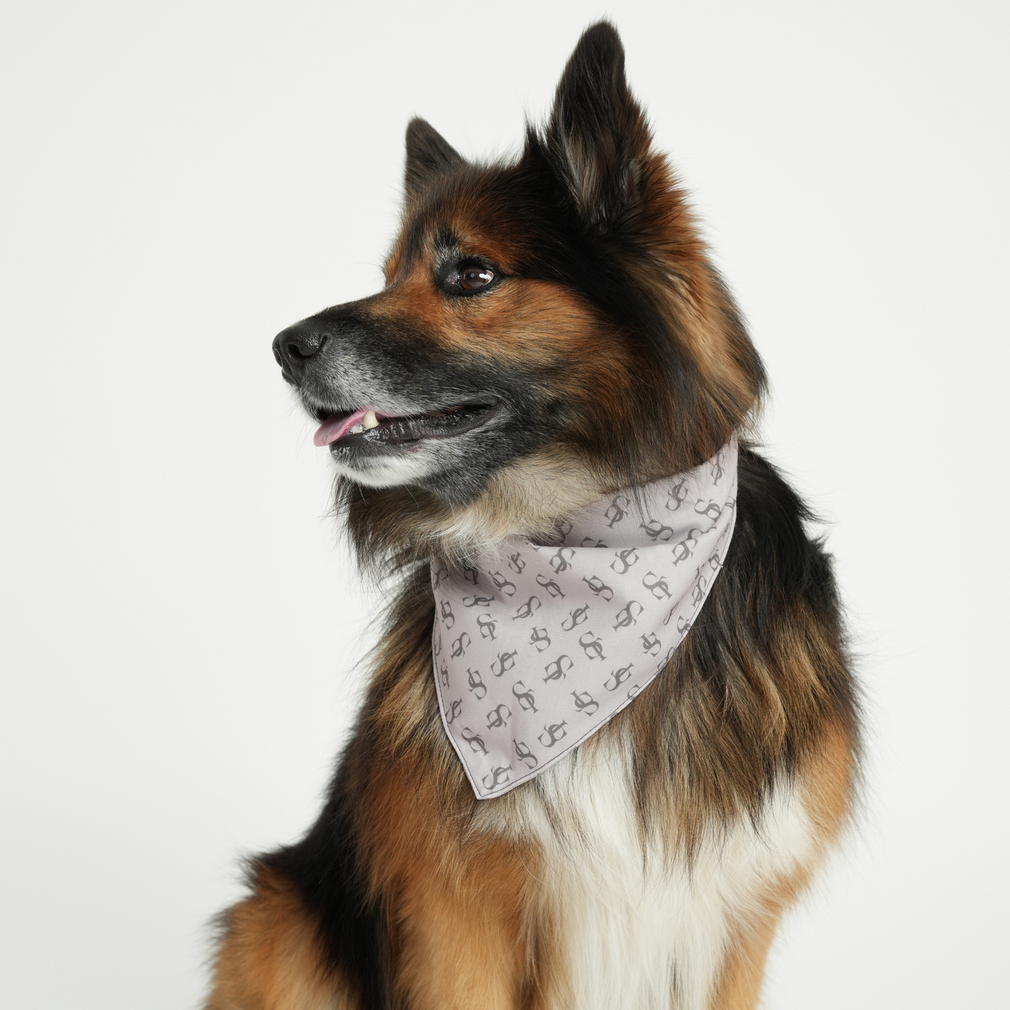 ST Bandana, Natur